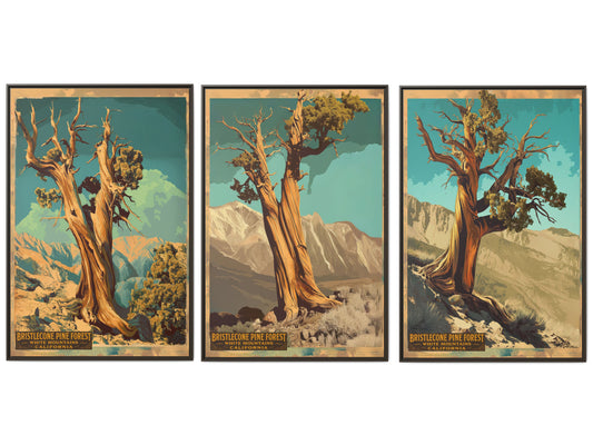 Bristlecone Pine Forest Vintage Travel Poster — Set of 3-40×60 Framed Canvas Wall Art