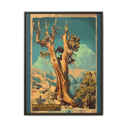 Bristlecone Pine Forest Vintage Travel Poster — Framed Matte Canvas Wall Art