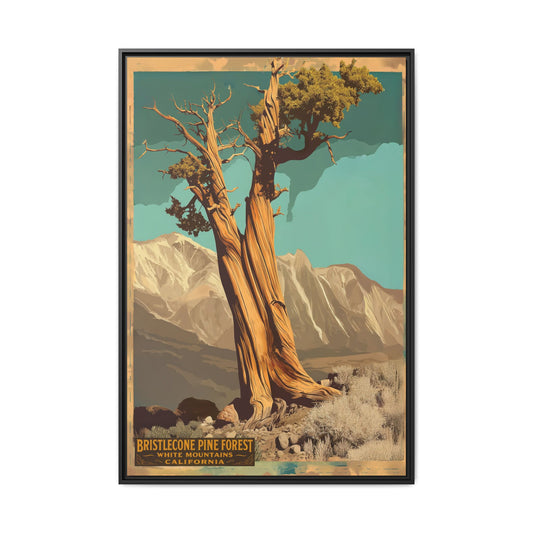 Bristlecone Pine Forest Vintage Art Print — Framed Matte Canvas