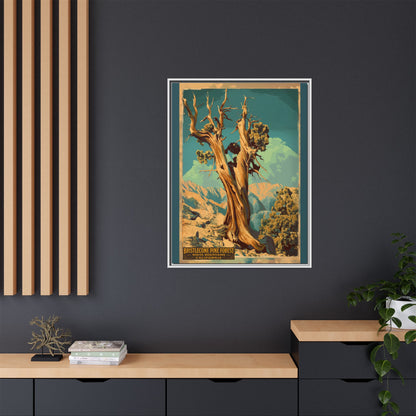 Bristlecone Pine Forest Vintage Travel Poster — Framed Matte Canvas Wall Art