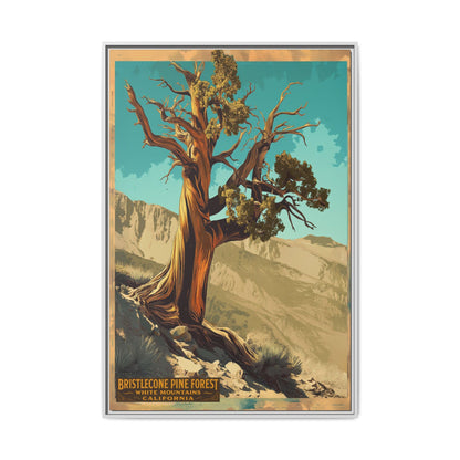 Bristlecone Pine Forest Framed Canvas Print — Vintage National Park Travel Poster