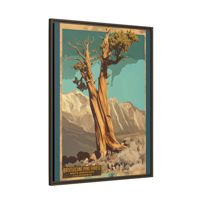 Bristlecone Pine Forest Vintage Art Print — Framed Matte Canvas