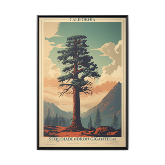 "Vintage California Sequoia Poster - Sequoiadendron Giganteum Matte Canvas Wall Art with Black Frame" Matte Canvas, Black Frame