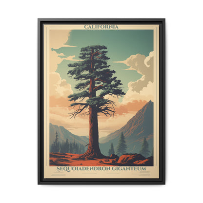 "Vintage California Sequoia Poster - Sequoiadendron Giganteum Matte Canvas Wall Art with Black Frame" Matte Canvas, Black Frame