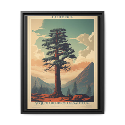 "Vintage California Sequoia Poster - Sequoiadendron Giganteum Matte Canvas Wall Art with Black Frame" Matte Canvas, Black Frame