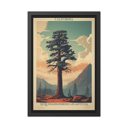 Vintage California Poster - Sequoiadendron Giganteum, Giant Sequoia Art Print Framed Posters