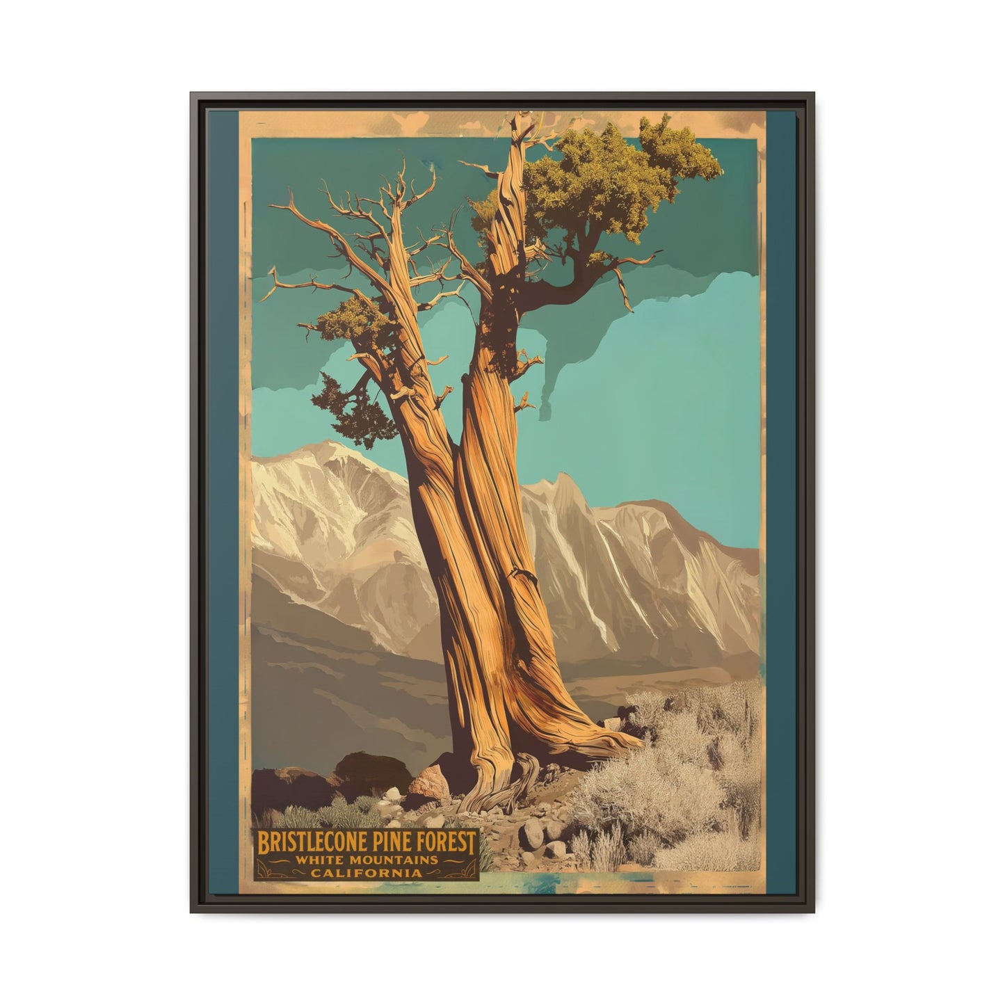 Bristlecone Pine Forest Vintage Art Print — Framed Matte Canvas