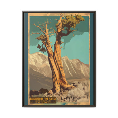 Bristlecone Pine Forest Vintage Art Print — Framed Matte Canvas