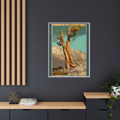 Bristlecone Pine Forest Vintage Art Print — Framed Matte Canvas