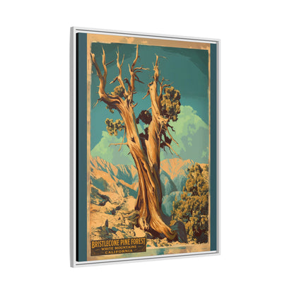 Bristlecone Pine Forest Vintage Travel Poster — Framed Matte Canvas Wall Art