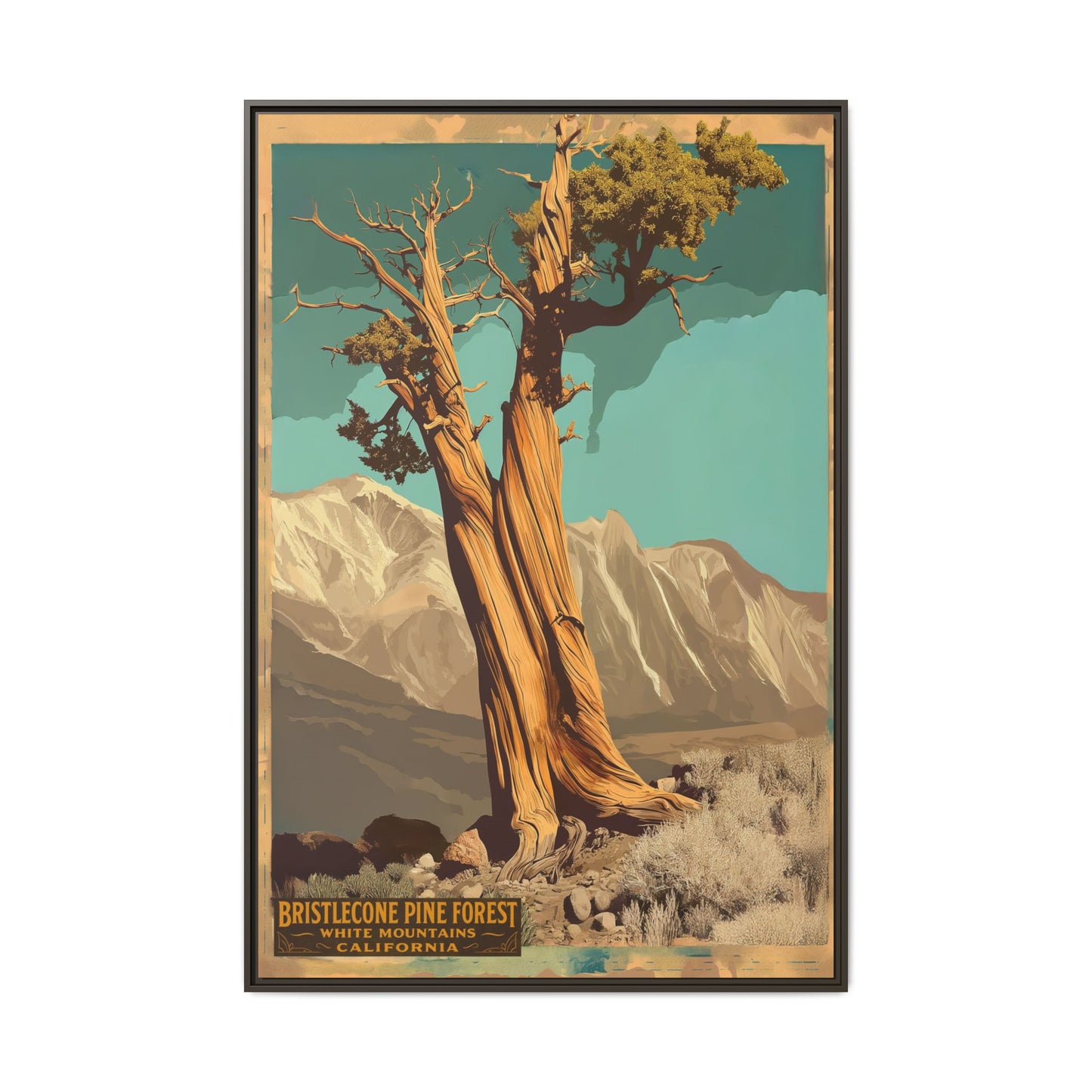 Bristlecone Pine Forest Vintage Art Print — Framed Matte Canvas