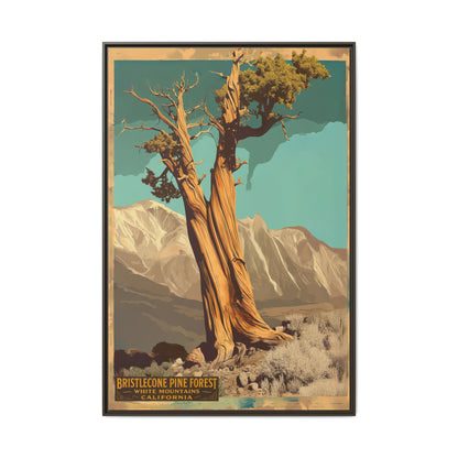 Bristlecone Pine Forest Vintage Art Print — Framed Matte Canvas