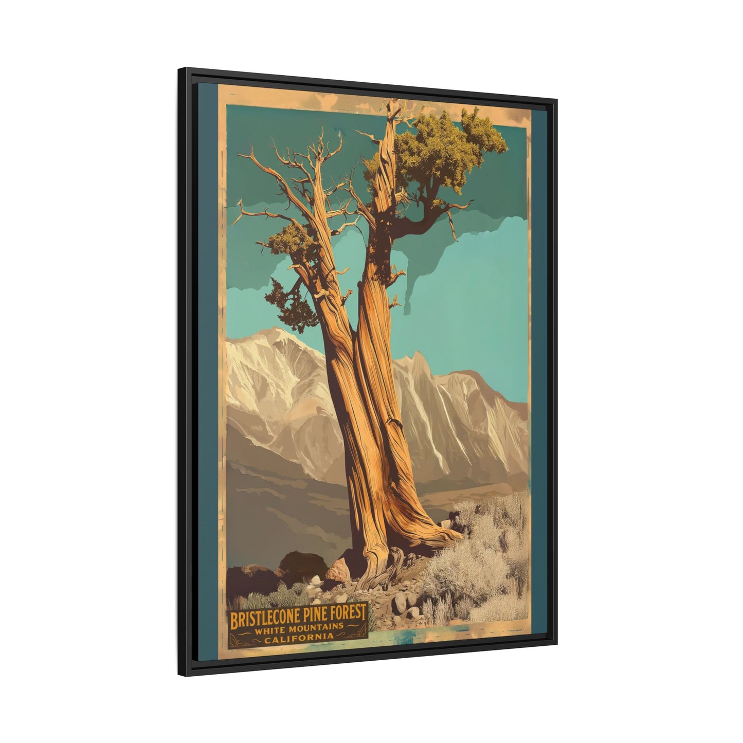 Bristlecone Pine Forest Vintage Art Print — Framed Matte Canvas