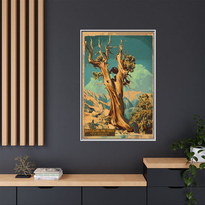 Bristlecone Pine Forest Vintage Travel Poster — Framed Matte Canvas Wall Art