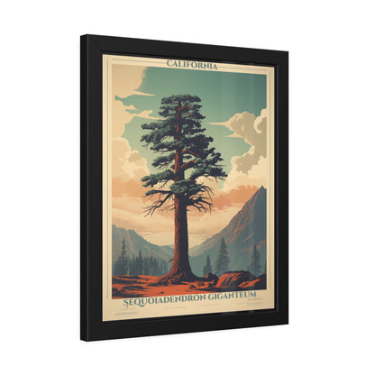 Framed Poster — Vintage California Sequoia Tree Print