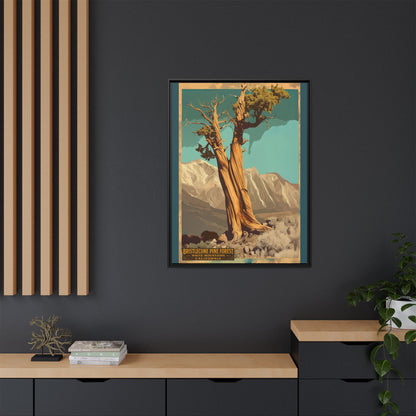 Bristlecone Pine Forest Vintage Art Print — Framed Matte Canvas