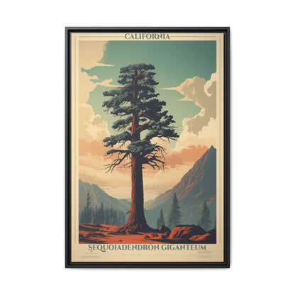 "Vintage California Sequoia Poster - Sequoiadendron Giganteum Matte Canvas Wall Art with Black Frame" Matte Canvas, Black Frame