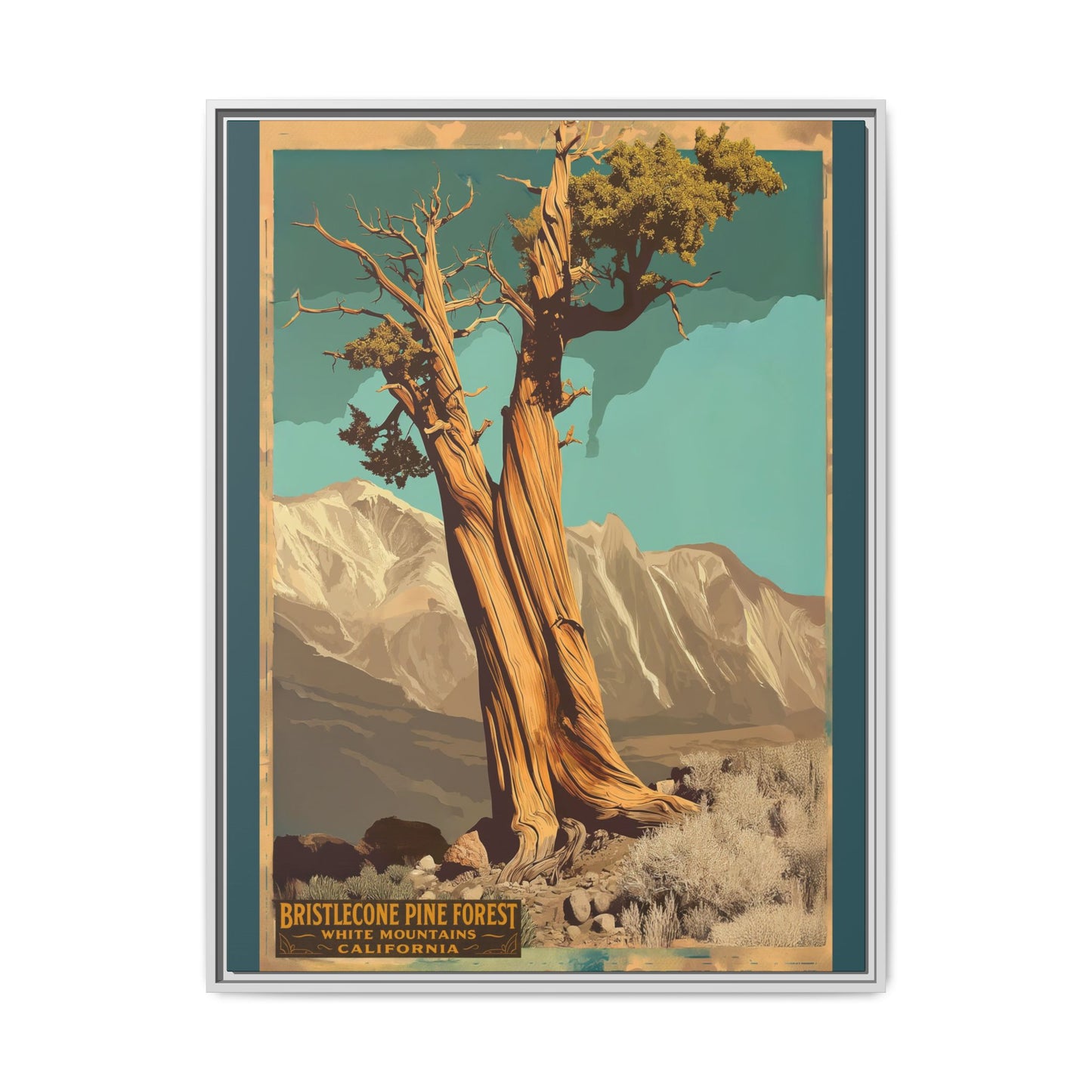 Bristlecone Pine Forest Vintage Art Print — Framed Matte Canvas