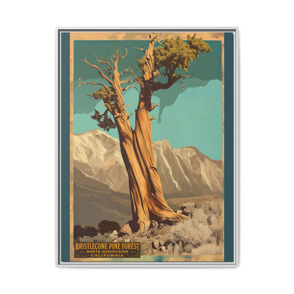 Bristlecone Pine Forest Vintage Art Print — Framed Matte Canvas