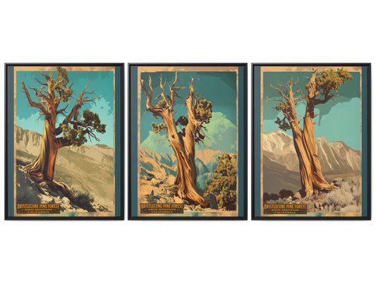 Bristlecone Pine Forest Framed Canvas Print — Set of 3 Vintage National Park Wall Art, 30×40 California Nature Decor