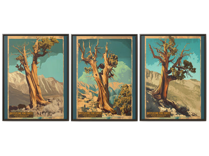 Bristlecone Pine Forest Framed Canvas Print — Set of 3 Vintage National Park Wall Art, 30×40 California Nature Decor