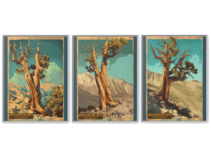 Bristlecone Pine Forest Framed Canvas Print — Set of 3 Vintage National Park Wall Art, 30×40 California Nature Decor