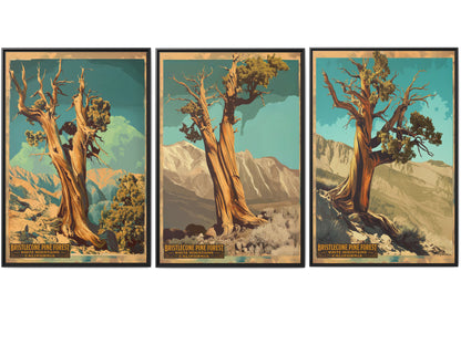 Bristlecone Pine Forest Vintage Travel Poster — Set of 3-32×48 | California National Park Wall Art