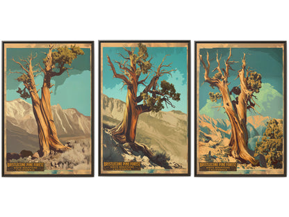 Bristlecone Pine Forest Vintage Travel Poster — Set of 3-32×48 | California National Park Wall Art