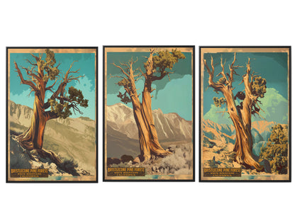 Bristlecone Pine Forest Vintage Travel Poster —  Set of 3-40×60 Framed Canvas Wall Art