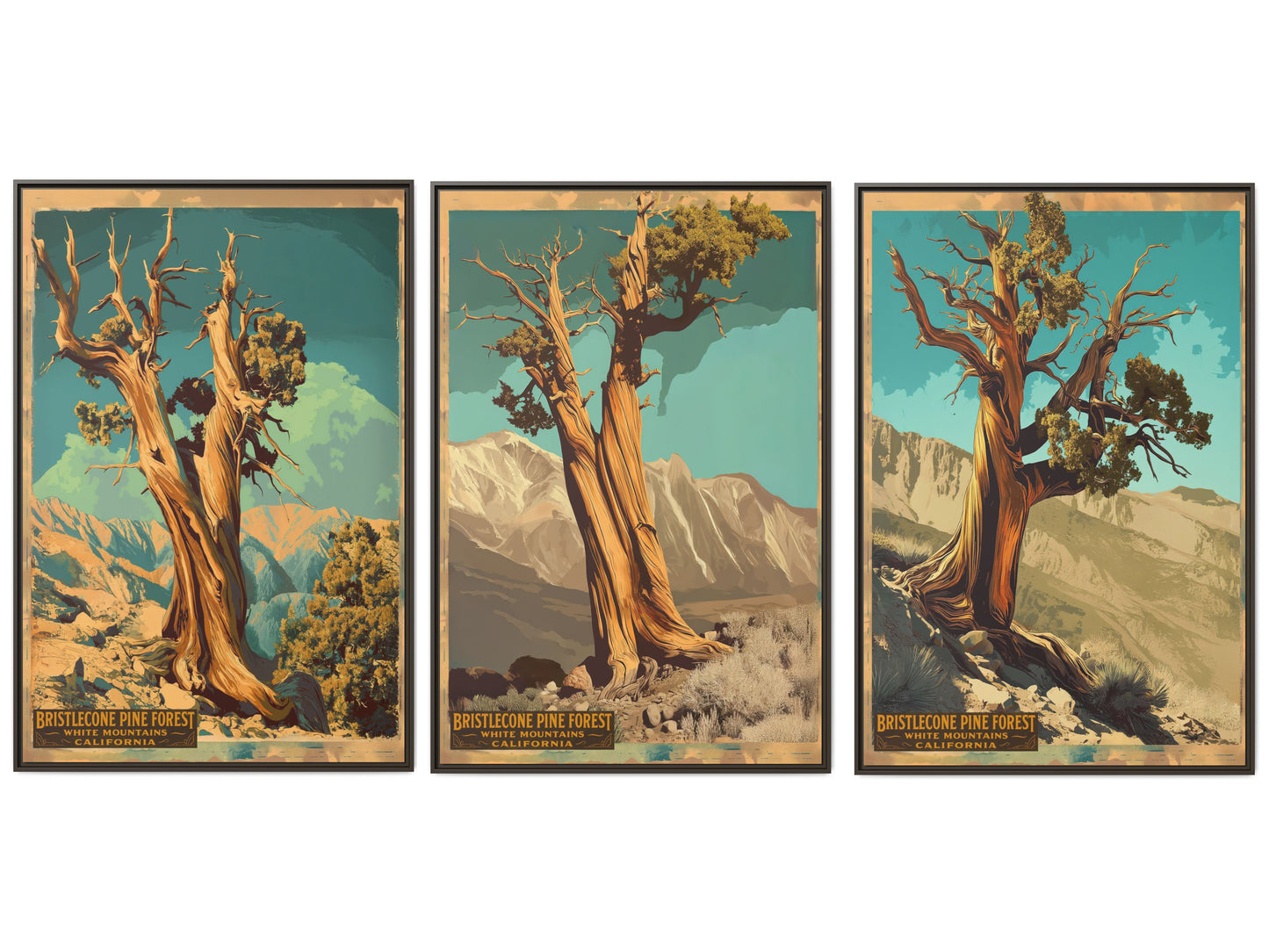 Bristlecone Pine Forest Vintage Travel Poster —  Set of 3-40×60 Framed Canvas Wall Art