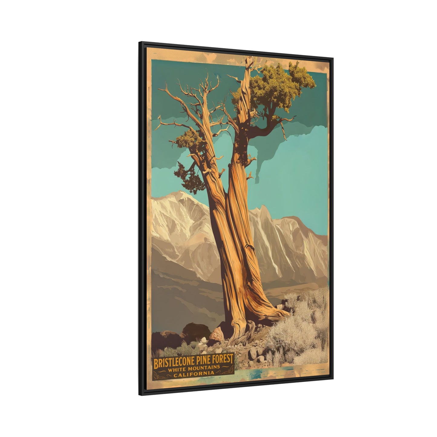 Bristlecone Pine Forest Vintage Art Print — Framed Matte Canvas