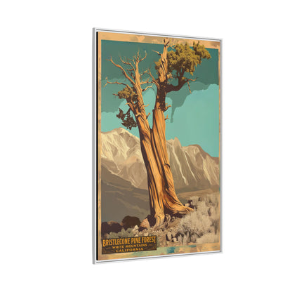Bristlecone Pine Forest Vintage Art Print — Framed Matte Canvas