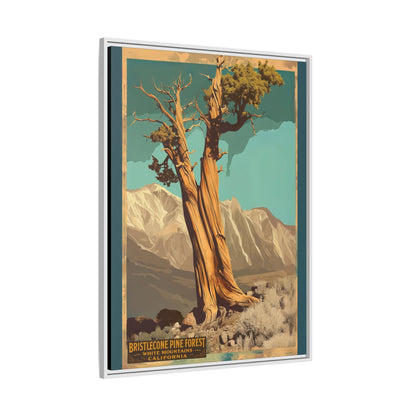 Bristlecone Pine Forest Vintage Art Print — Framed Matte Canvas