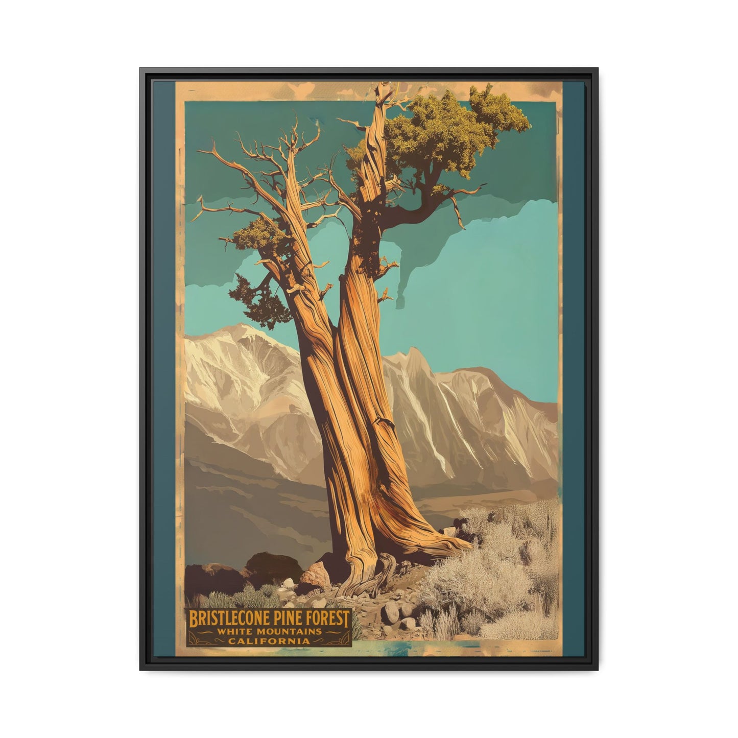 Bristlecone Pine Forest Vintage Art Print — Framed Matte Canvas