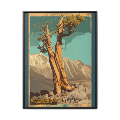 Bristlecone Pine Forest Vintage Art Print — Framed Matte Canvas