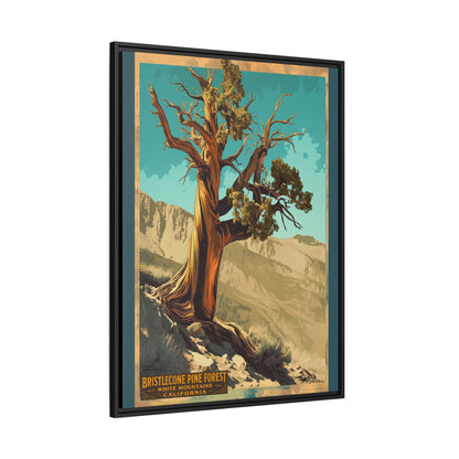 Bristlecone Pine Forest Framed Canvas Print — Vintage National Park Travel Poster