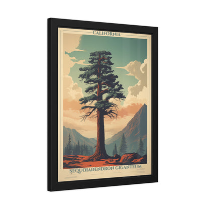 Framed Poster — Vintage California Sequoia Tree Print