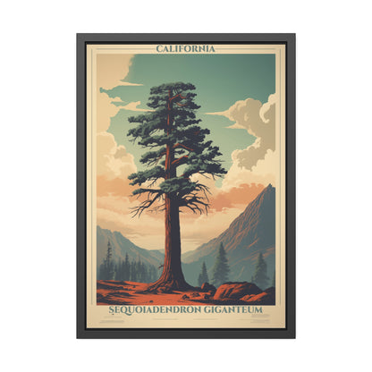 Framed Poster — Vintage California Sequoia Tree Print