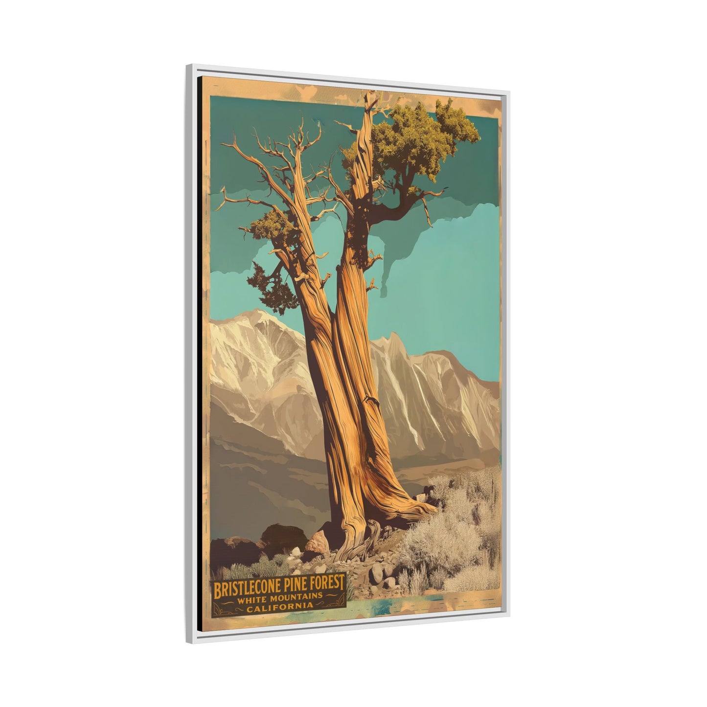 Bristlecone Pine Forest Vintage Art Print — Framed Matte Canvas