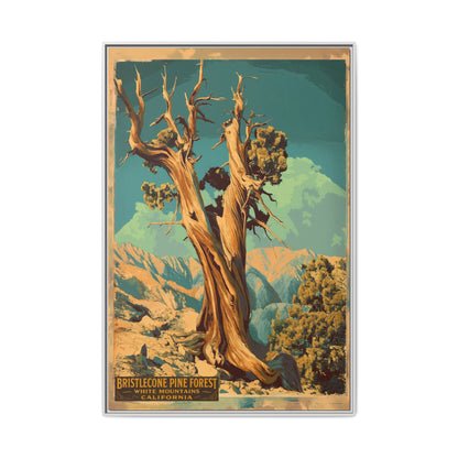 Bristlecone Pine Forest Vintage Travel Poster — Framed Matte Canvas Wall Art