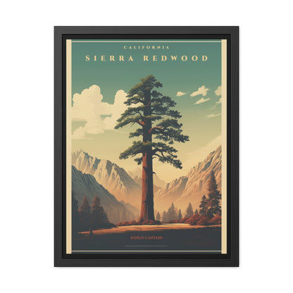 Vintage California Poster - Sierra Redwood in Kings Canyon National Park Art Framed Posters