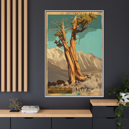 Bristlecone Pine Forest Vintage Art Print — Framed Matte Canvas