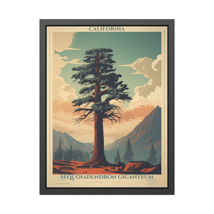 Framed Poster — Vintage California Sequoia Tree Print