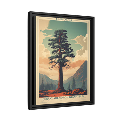 California Sequoiadendron Giganteum vintage nature artwork, 16 × 20, black framed canvas, angled view showing the wrapped canvas edge and frame depth