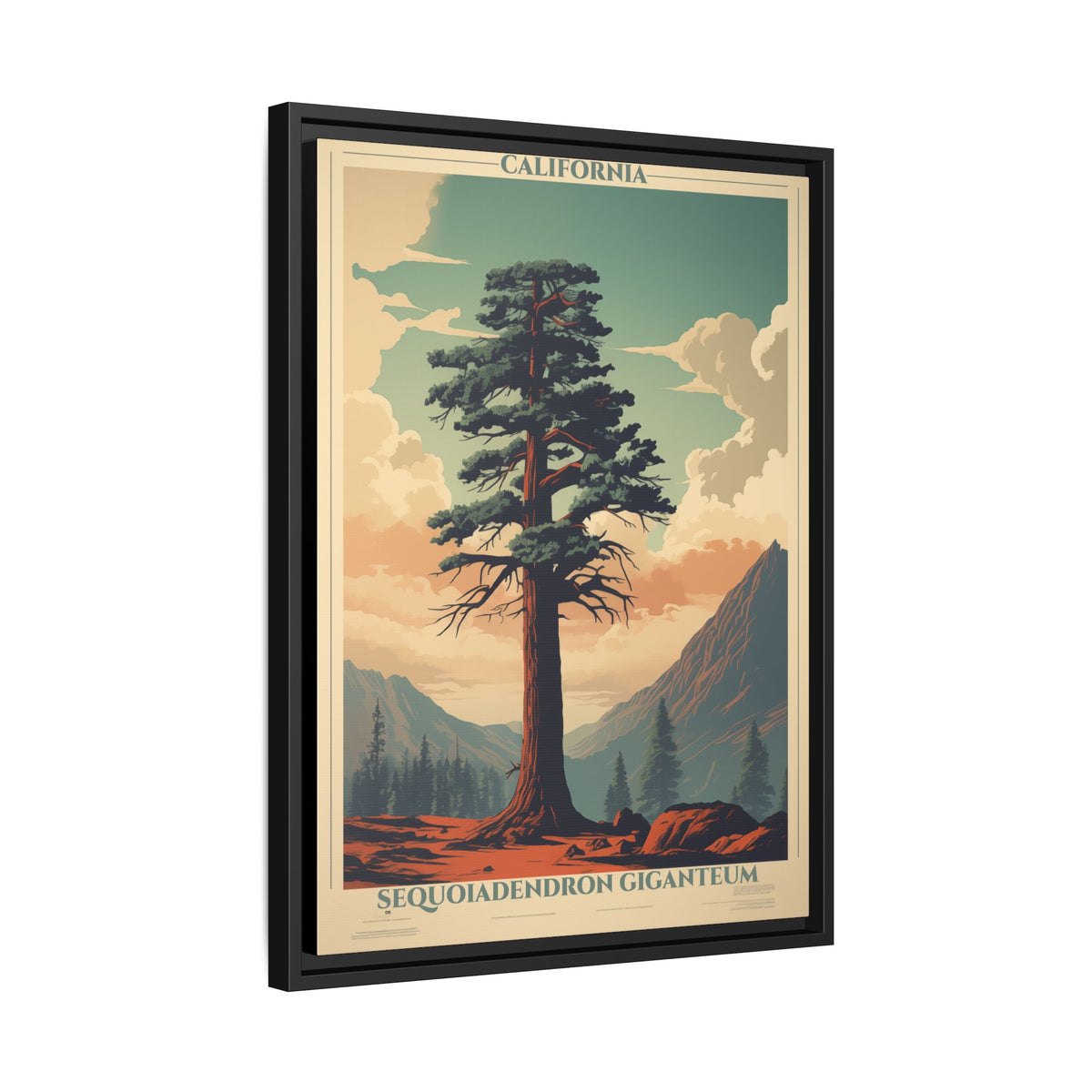 California Sequoiadendron Giganteum vintage nature artwork, 18 × 24, black framed canvas, angled view showing the wrapped canvas edge and frame depth